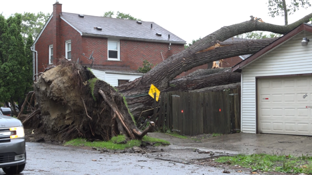 detroit-storm-damage.png 