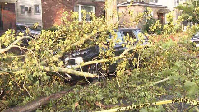 A parked vehicle in front of a house in covered with branches from a fallen tree. 