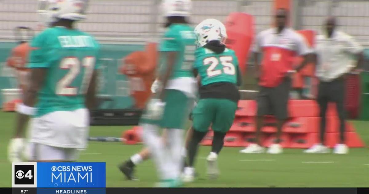 Dolphins training camp 2023: Building the roster - Wide receivers - BVM  Sports