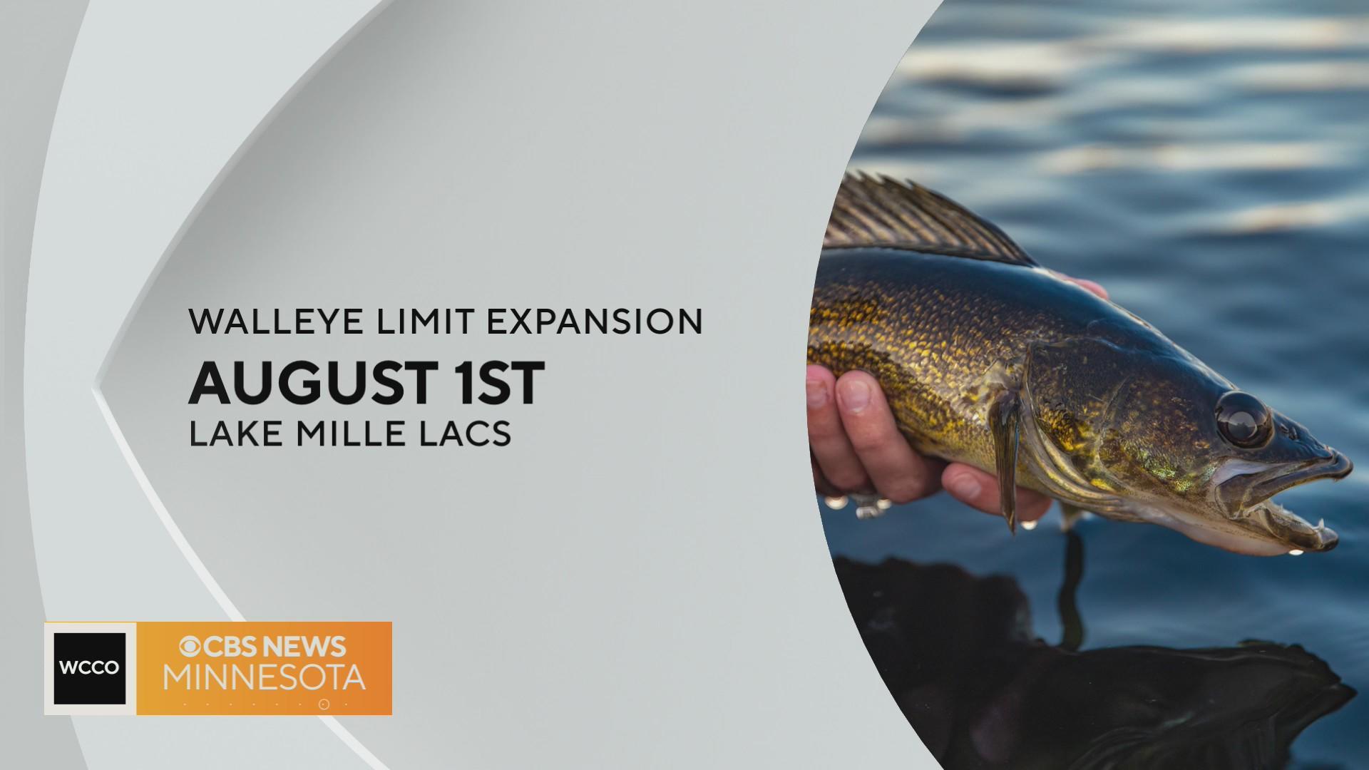 Tips and tactics for walleye opener, Mille Lacs Messenger
