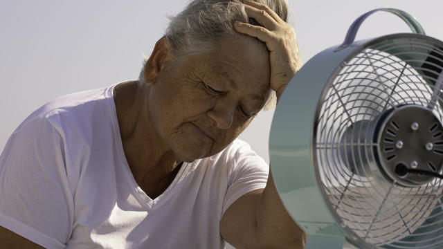 Elderly Woman with Fan 