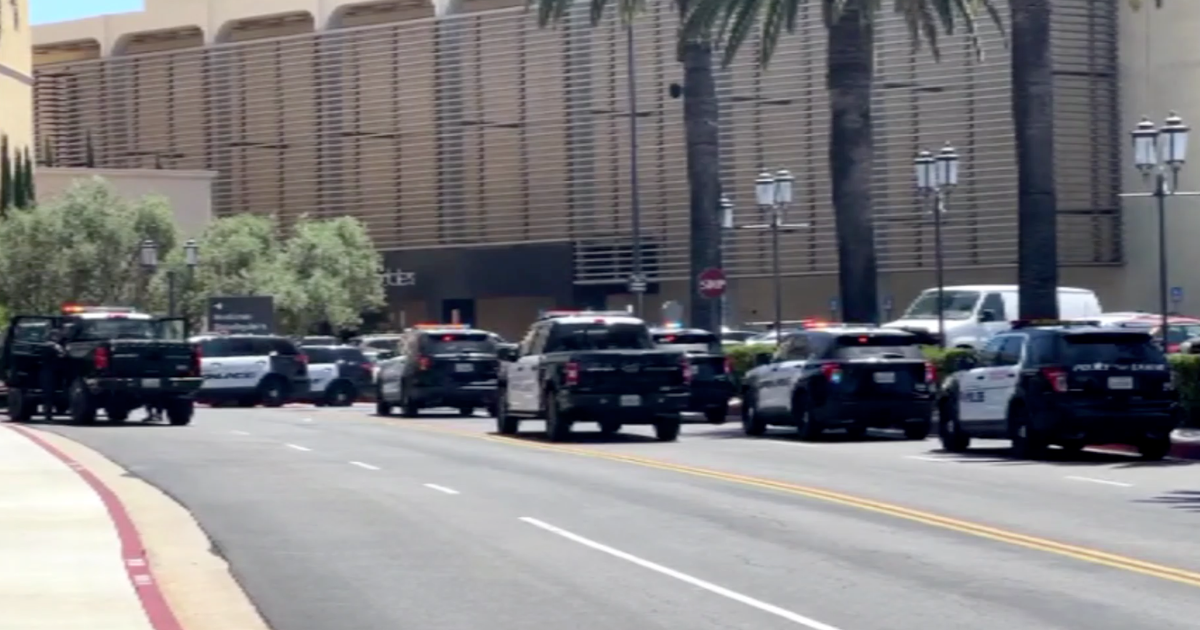 2 suspects arrested for attempted robbery at Fashion Island business ...