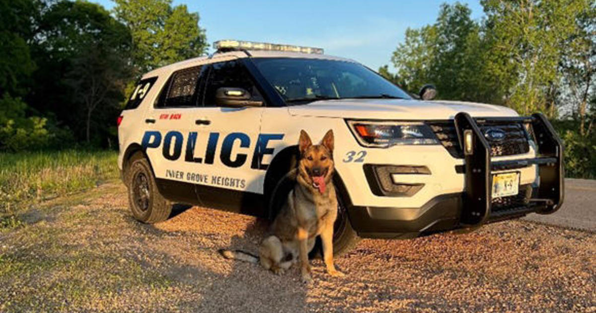 Inver Grove Heights Police Department welcomes back K-9 following health scare