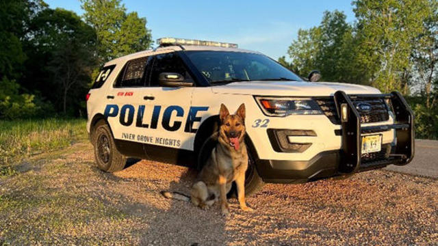 IGHPD k9 chase with squad car 