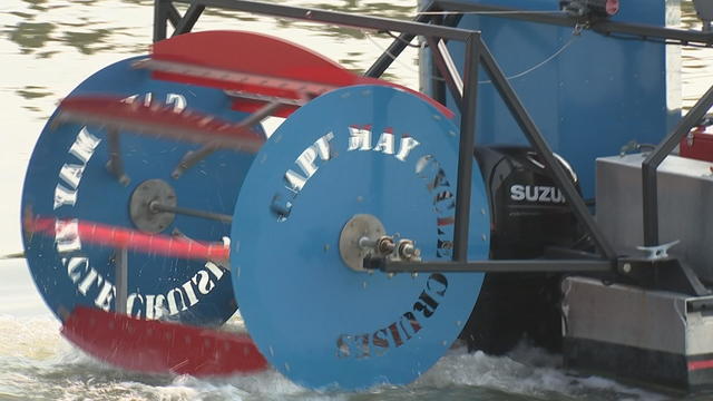 cape may pedal boat 