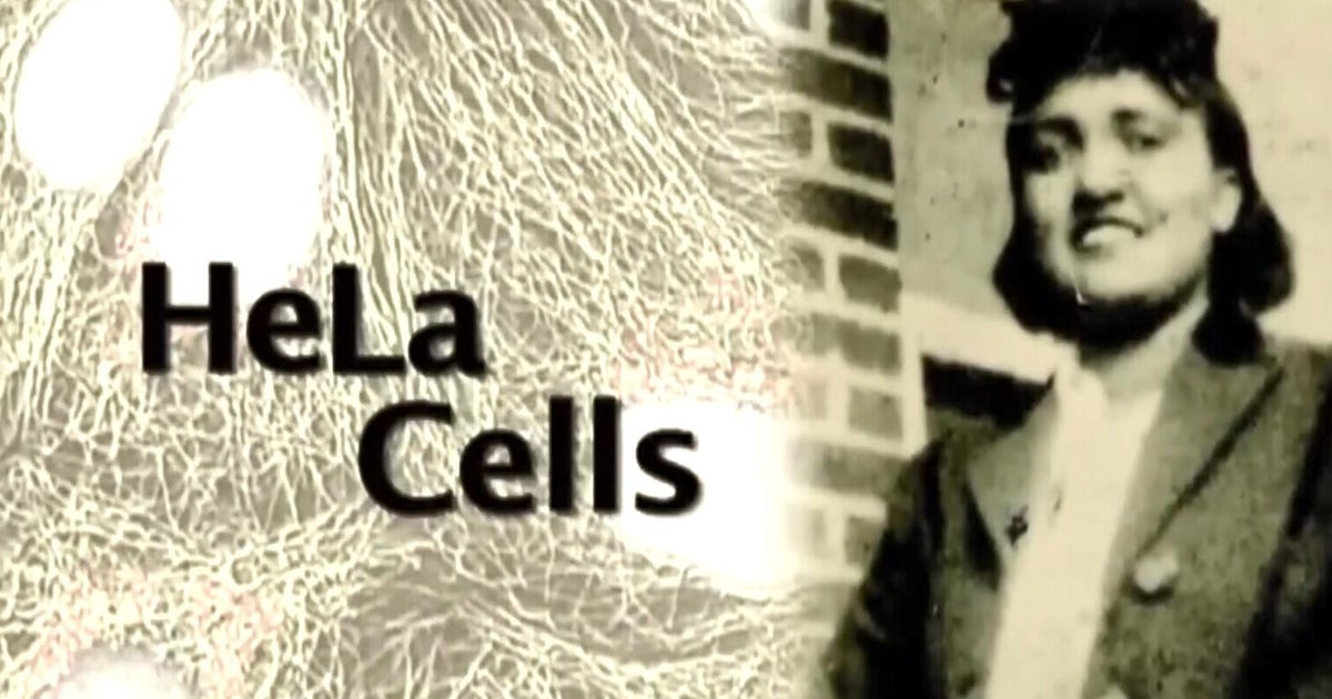Henrietta Lacks family in court fighting for settlement over immortal HeLa cells use Henrietta Lacks family in court fighting for settlement over immortal HeLa cells use