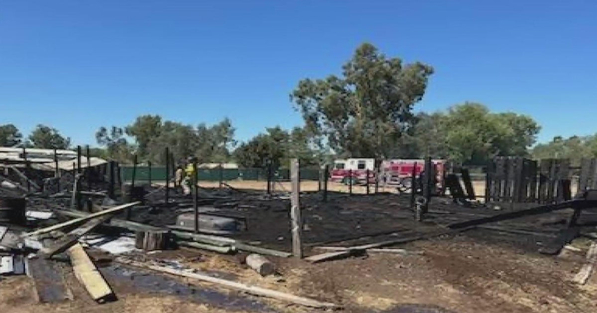 Several animals die in fire in Rio Linda