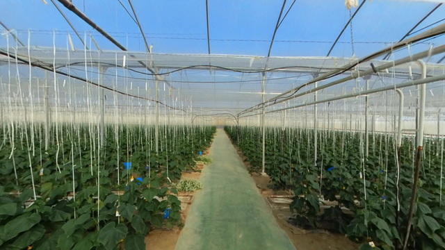 greenhouses-1920-2166711-640x360.jpg 