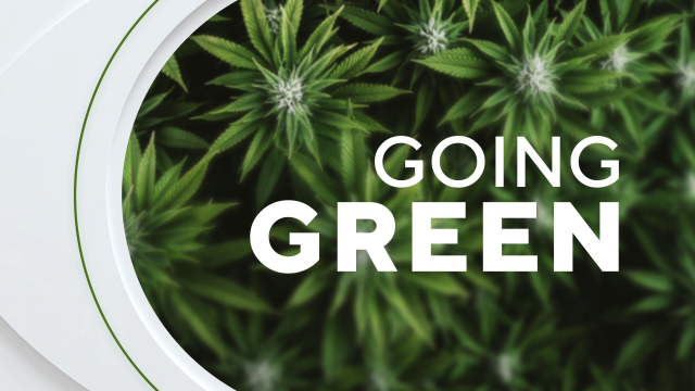 Going Green, marijuana 
