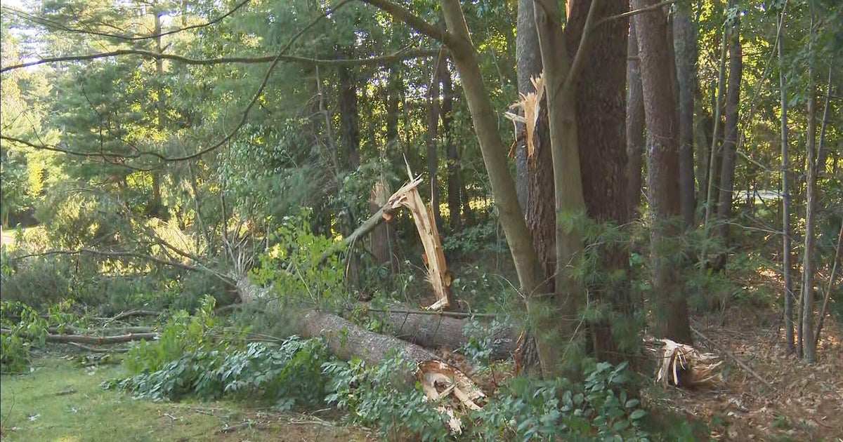 Are these tornadoes in Massachusetts unusual? Not really - Vimarsana News