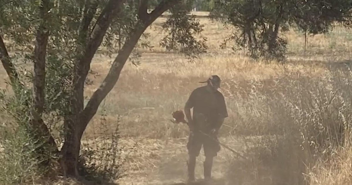 How you can help firefighters reduce fire risk without any tools