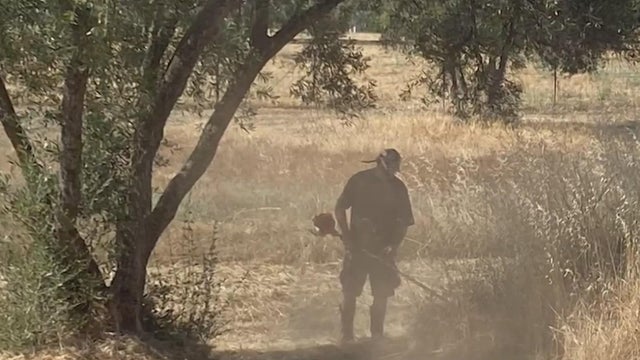 How you can help firefighters reduce fire risk without any tools 