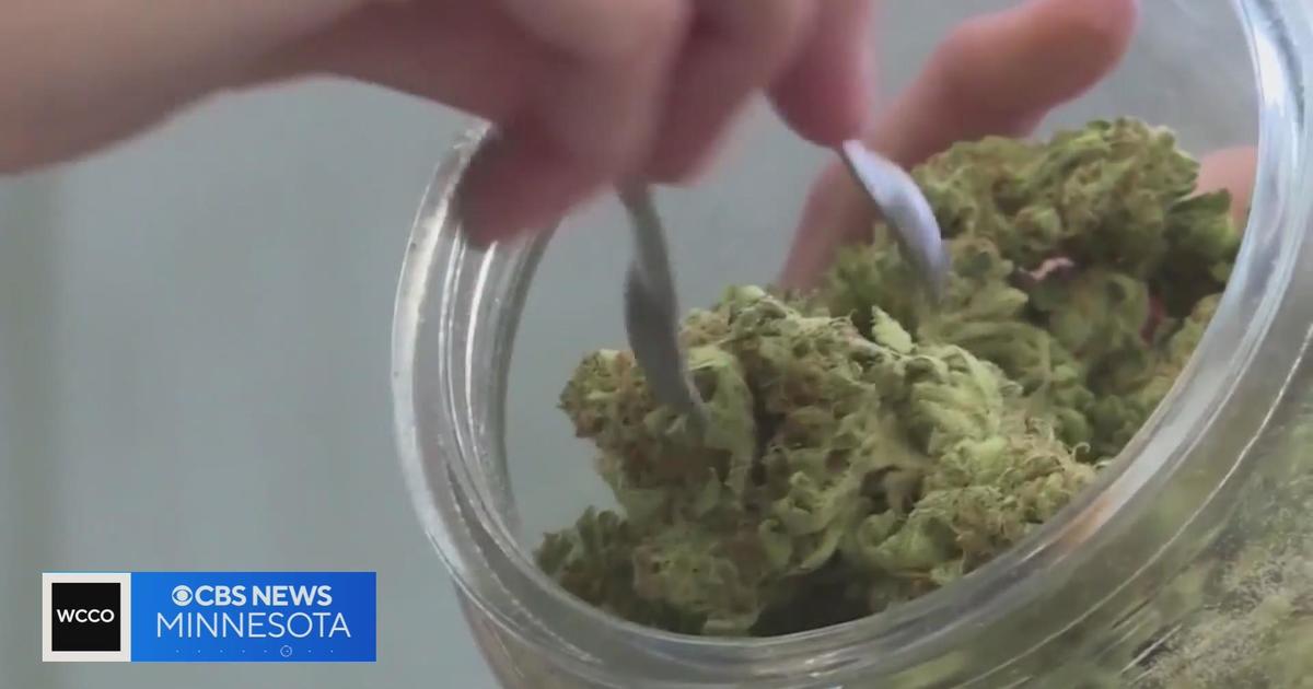 Growing weed at home in Minnesota: Your questions answered - CBS