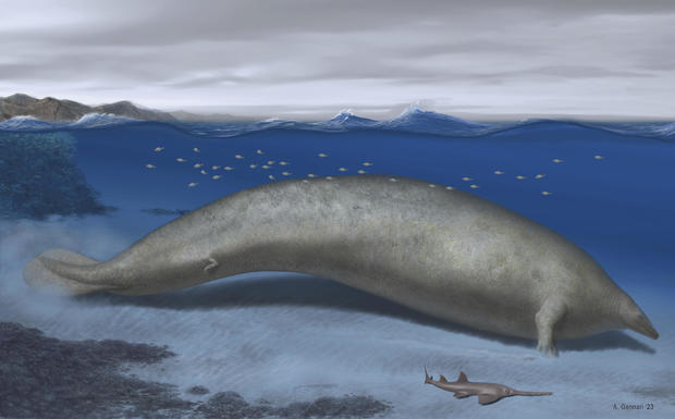 Giant Ancient Whale 