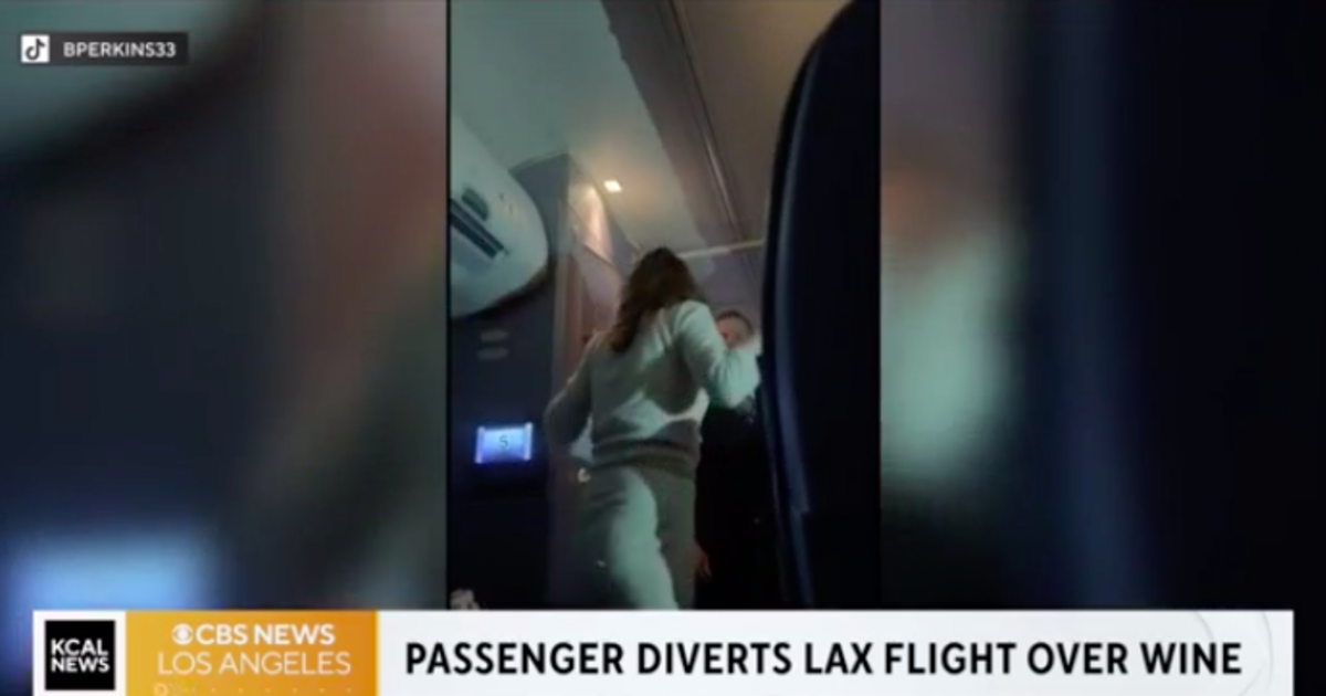 “Wine Karen” banned by United Airlines after fighting flight attendant