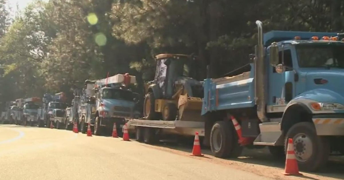PG&E cuts tree-trimming program it says was ineffective in fire ...