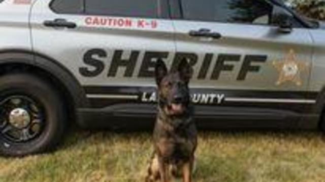 Lake County Sheriff's Office K9 Axel.jpg 