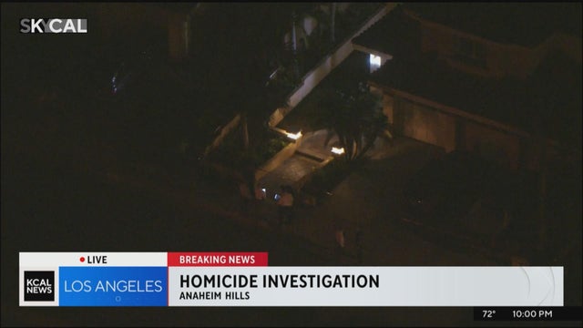 homicide.jpg 