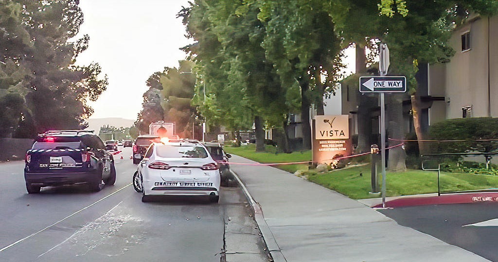 Double homicide: Grandmother, grandson found dead at San Jose home ...