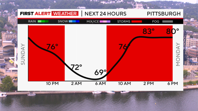 next-24-hours-temp-line-weather-bars-camera.png 