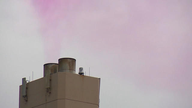 sound-maine-pink-vapor-frame-441.jpg 
