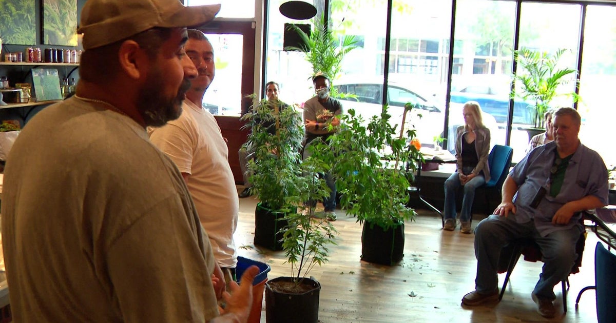 Homegrowing 101 Minnesotans getting educated on growing their own weed Homegrowing 101 Minnesotans getting educated on growing their own weed