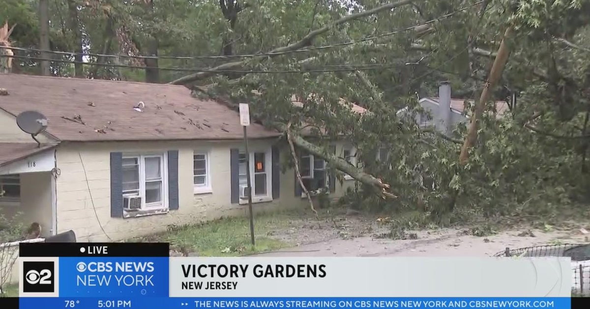Tree falls on house in Victory Gardens, New Jersey CBS New York