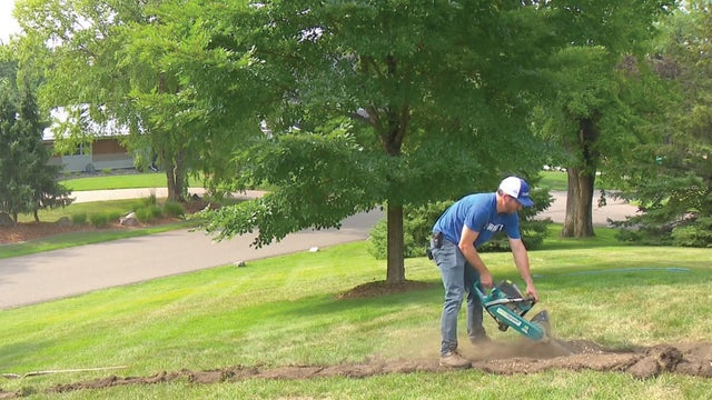lawn-care.jpg 