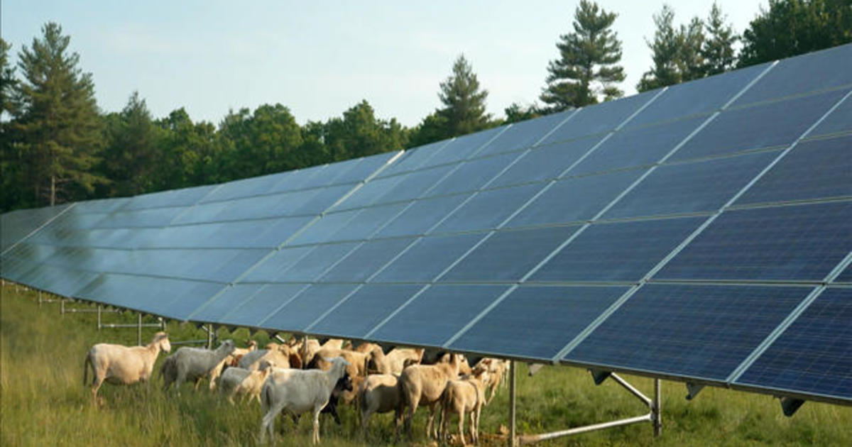 Eye on America: The New “Sun Grazing” Industry and the Struggle to Retain AM Radio