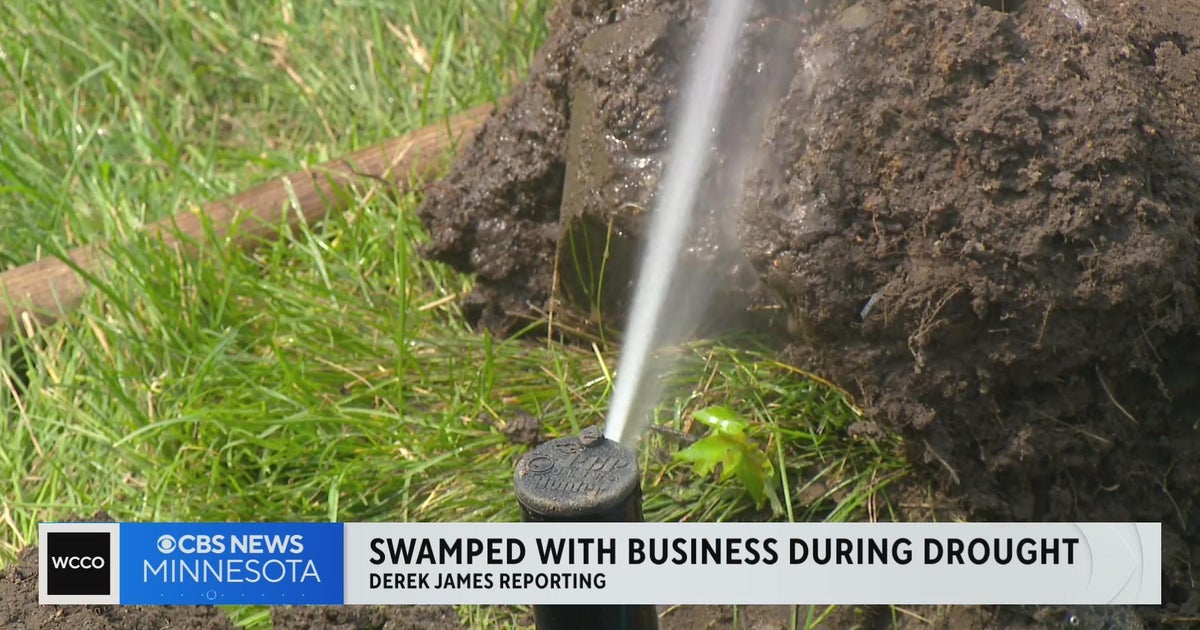 Demand for irrigation services in Twin Cities soars during drought
