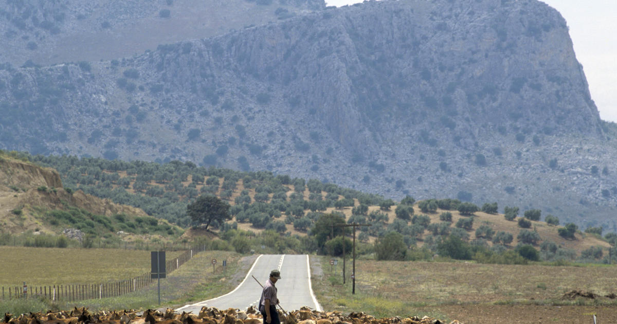 На фона на рекордни горещини Испания вижда козите като решение за горските пожари
