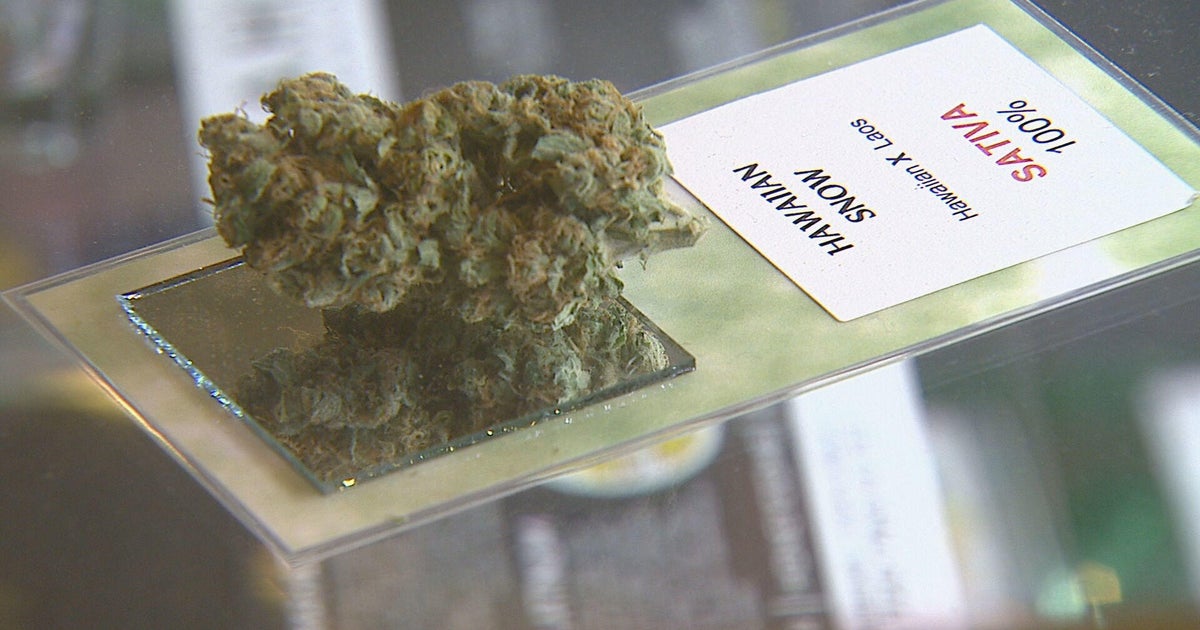 If leisure cannabis receives on November ballot, condition could see higher earnings If leisure cannabis receives on November ballot, condition could see higher earnings