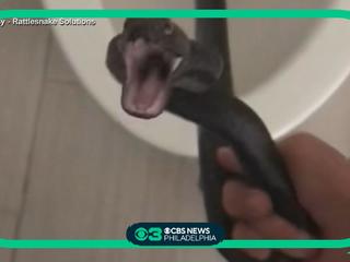 Snake in our shower!, We set him free in our back yard. Vid…