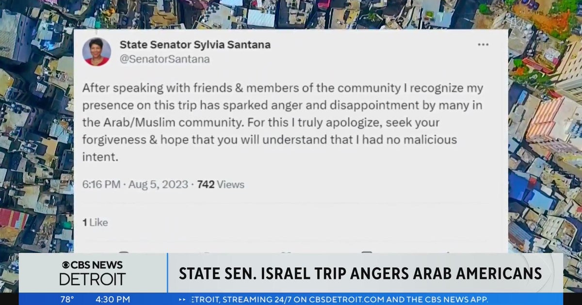 State senator's trip to Israel angers Arab American advocates in Metro ...