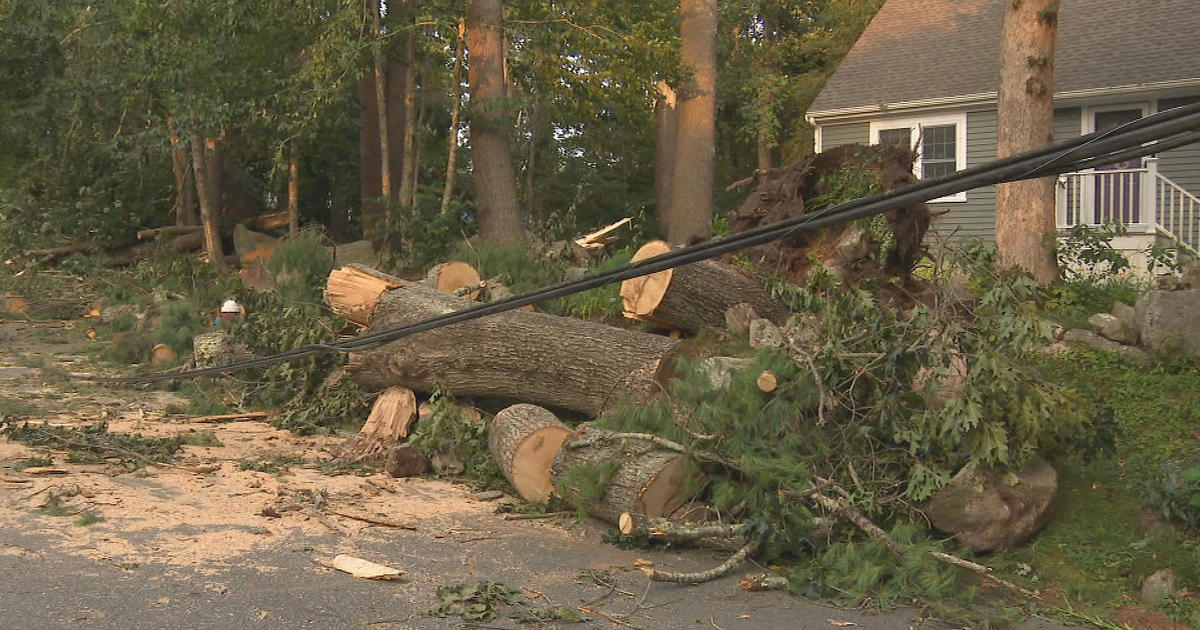 Mattapoisett cleans up from tornado ahead of another threat of severe