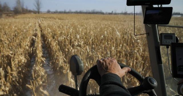 climate-change-harming-world-s-food-supply-with-corn-wheat-harvests