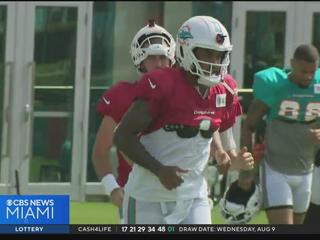 CBS 4's Steve Goldstein: Red hot Dolphins to face Houston Texans - CBS Miami