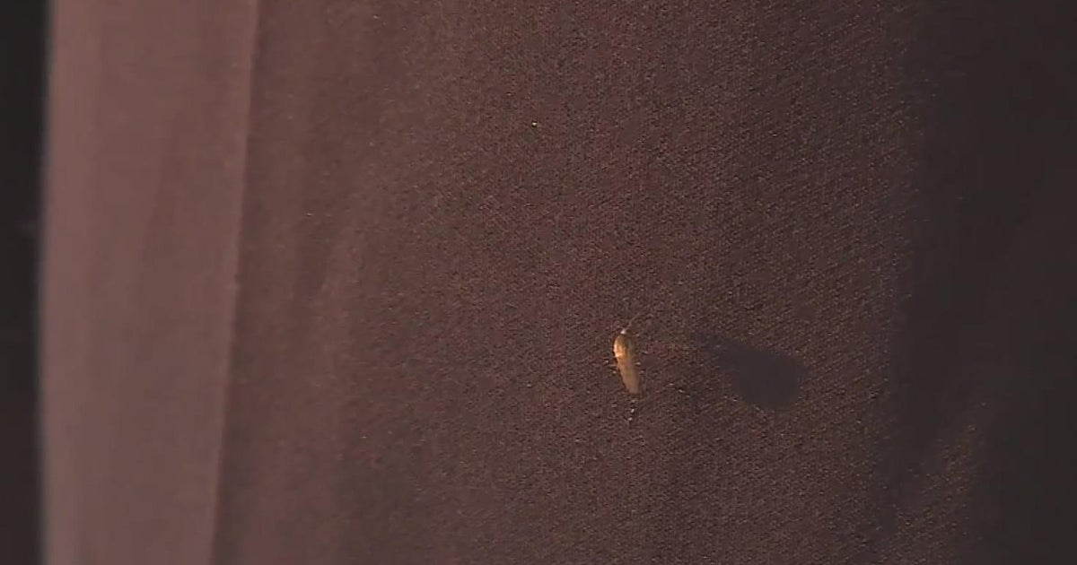 Mosquito mayhem Modesto area neighbors fed up moving due to bug bite boom Mosquito mayhem Modesto area neighbors fed up moving due to bug bite boom