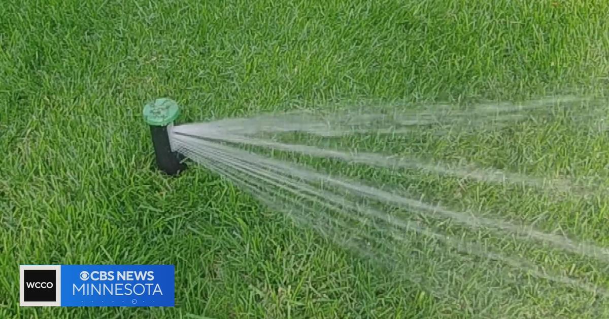 A Guide to Lawn Sprinkler System Inspection: What to Do & How Often in MN  and WI