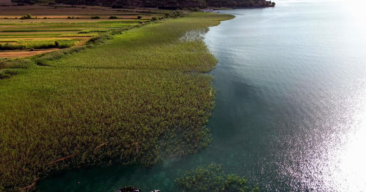Các nhà khảo cổ khám phá ngôi làng ven hồ lâu đời nhất châu Âu dưới nước, tìm thấy ‘kho báu’