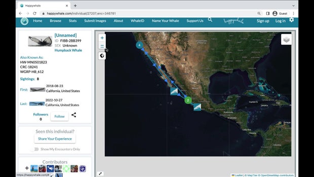 happy-whale-map-2.jpg