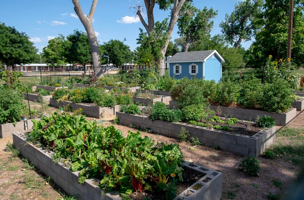 community-garden-02.jpg