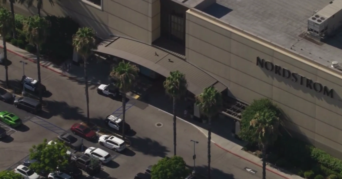 Police are investigating a “flash mob” robbery at the Westfield Topanga mall in Canoga Park