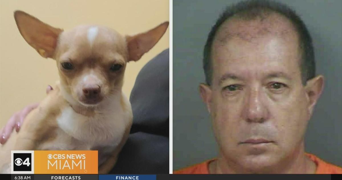 Florida gentleman accused of posing as a veterinarian, operating on doggy