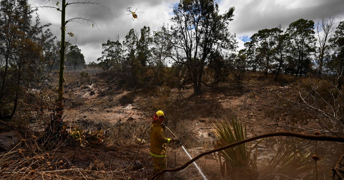 Crews searching for Maui wildfire victims could find another "10 to 20 people" a day, Hawaii's governor says