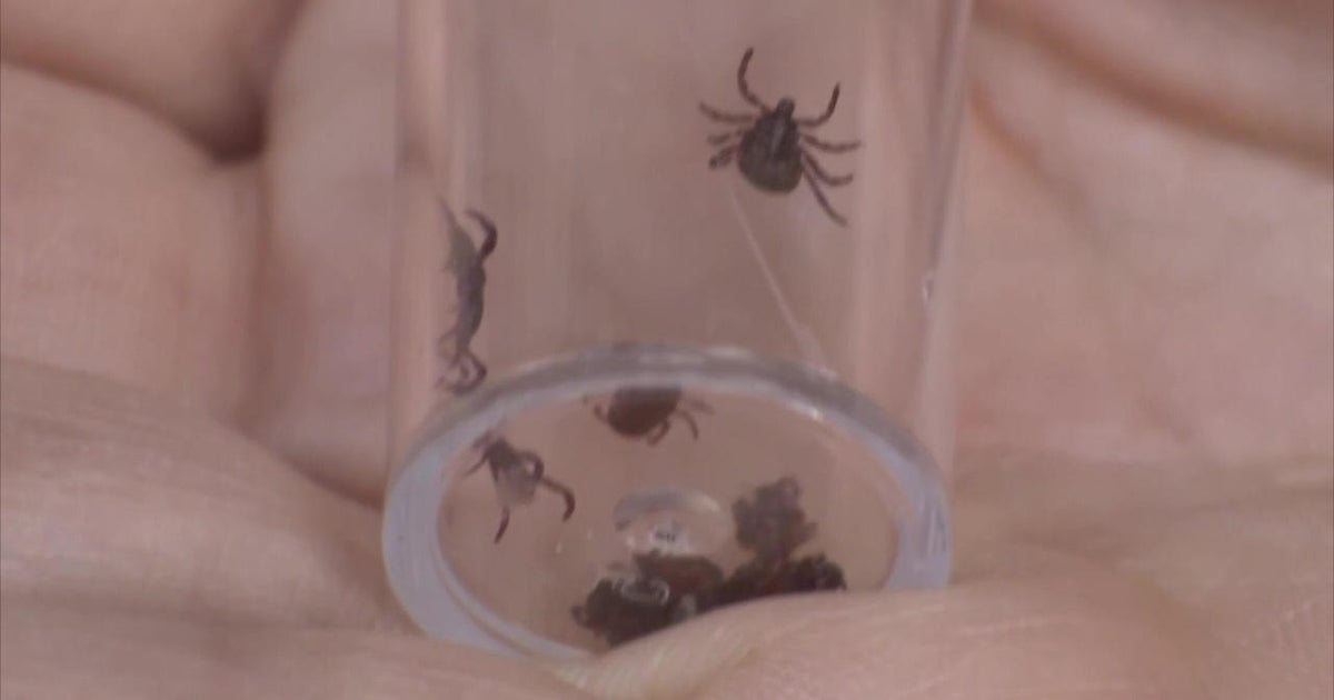 Northeast's first dedicated tick clinic opens on Long Island - CBS New York