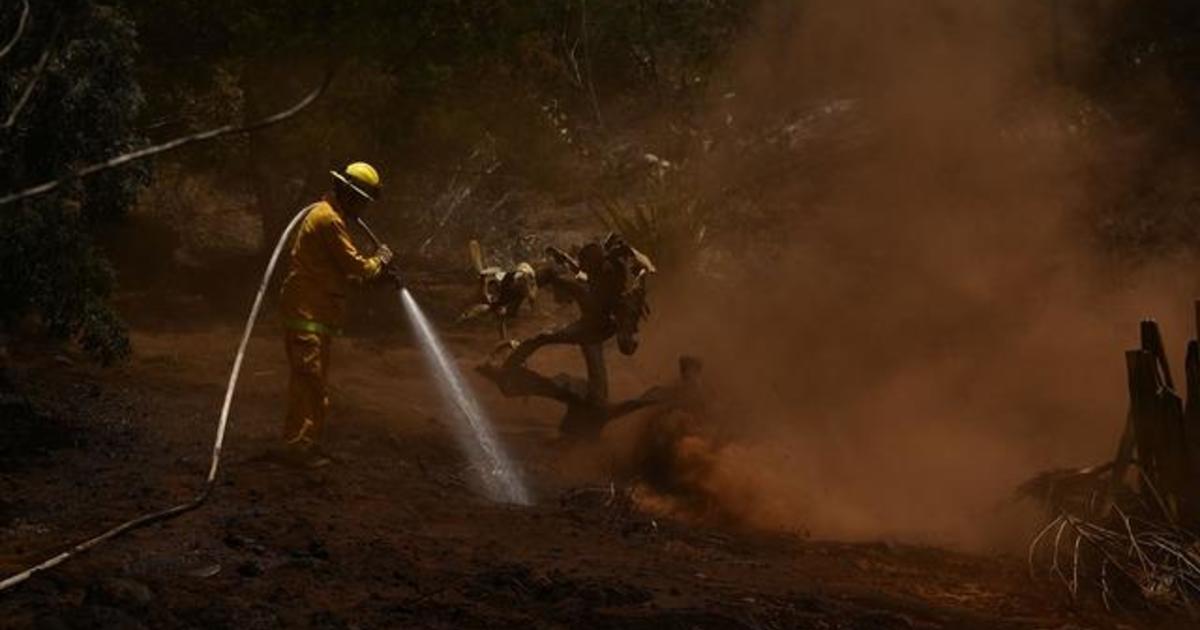 Devastating wildfires take toll on Maui economy