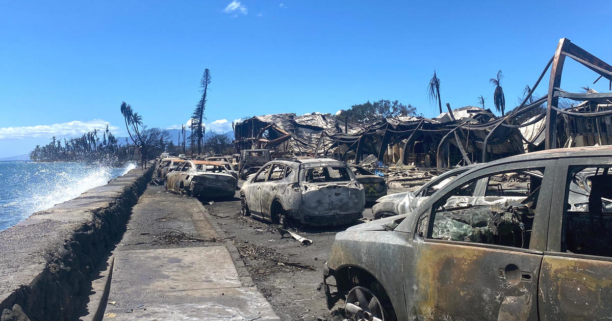 Шефът на Мауи за извънредни ситуации подаде оставка след критики за реакцията при горски пожар