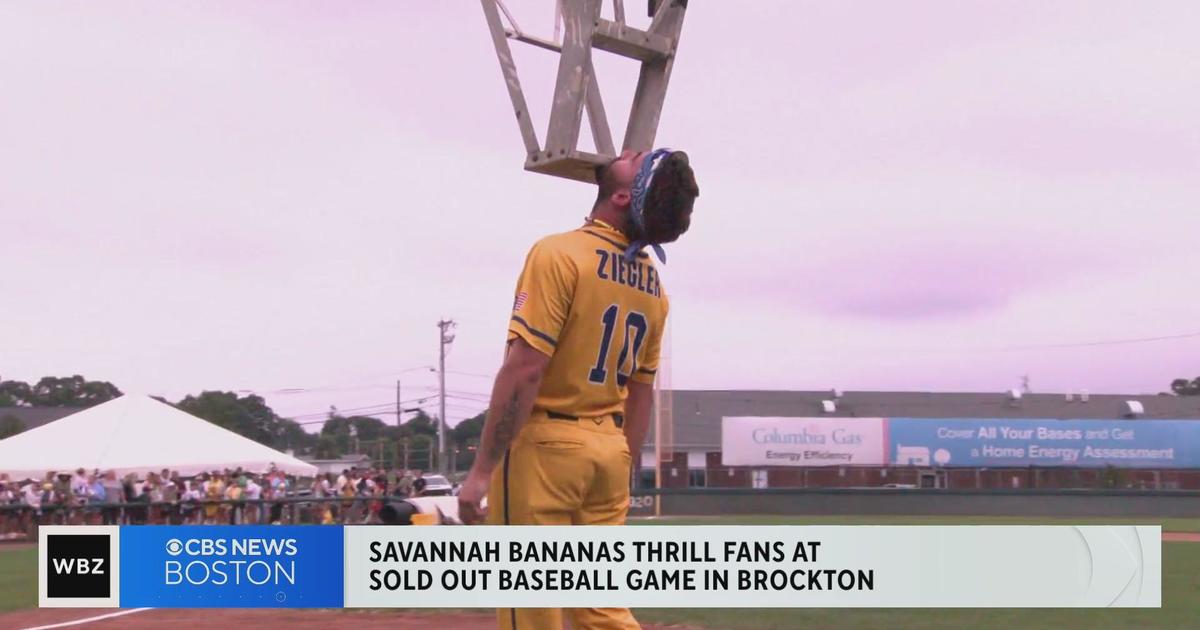 Gallery: Savannah Bananas visit Brockton's Campanelli Stadium