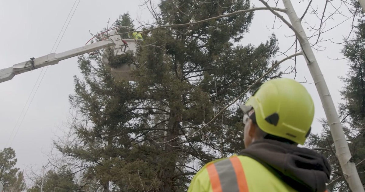 Colorado No. 2 in U.S. for homes at risk for wildfire, electric company using AI to cut risk - Vimarsana News